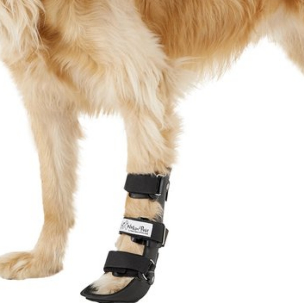 NWT Walkin Pets Dog Leg Splint Size FRONT LARGE